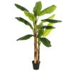 Agex