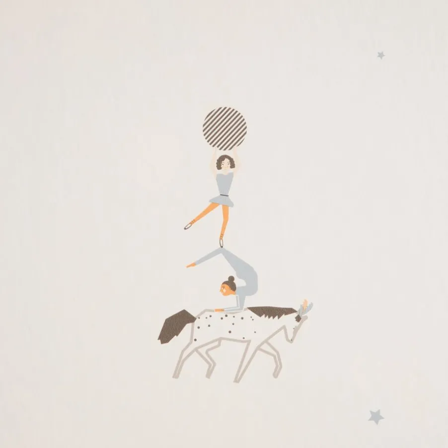 Cirque