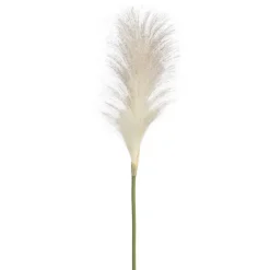 Kura