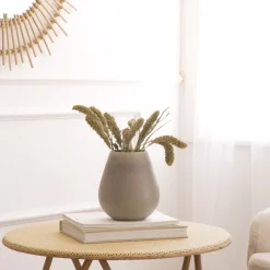 Pova